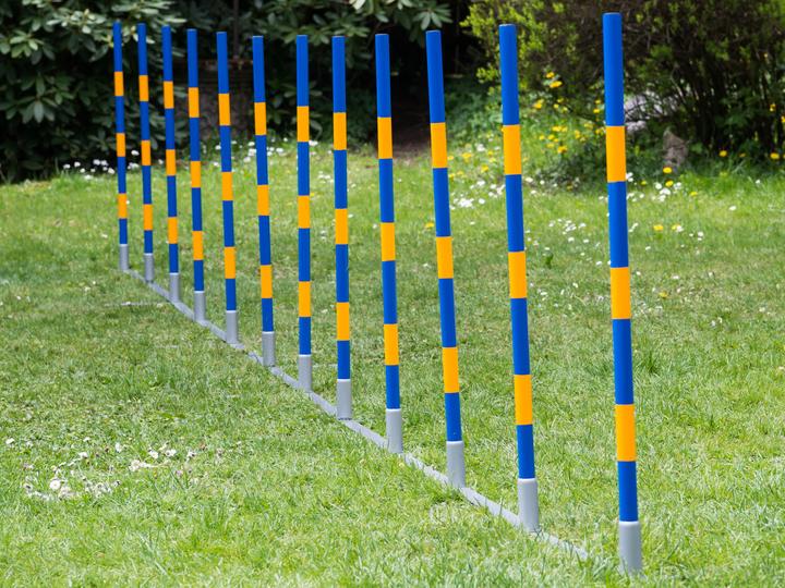 Petcenter Agility Slalom professionnel (Taille unique, Agility)