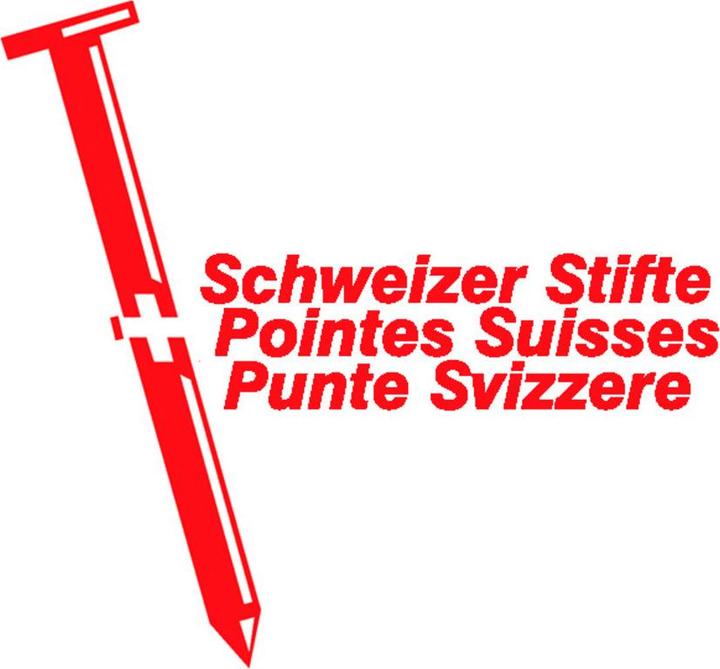 Produktbild Schweizerische Nagelfabrik Stifte mit Flachkopf (248 Stück, 100 mm)