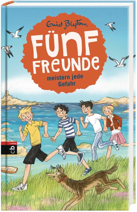 Produktbild Fünf Freunde meistern jede Gefahr (Deutsch, Enid Blyton, 2017)