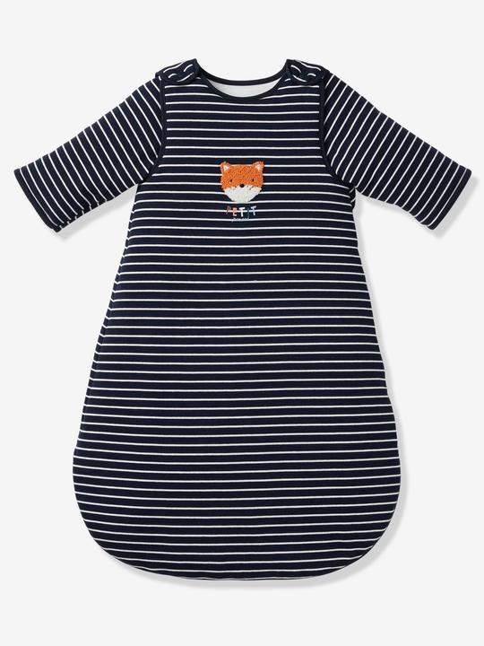 Night blue striped, Little fox
