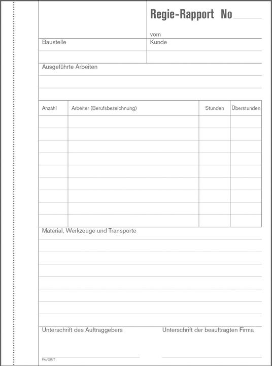 Favorit Director's reports (2 x)