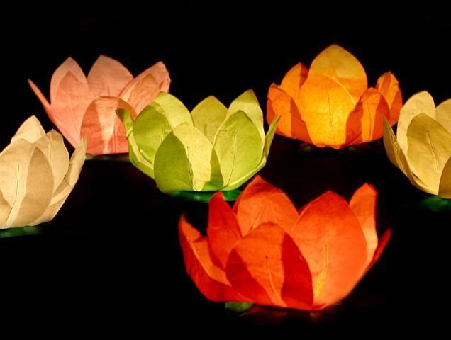 Produktbild Partydeco Schwimmende Wasserlaternen Lotusblüten