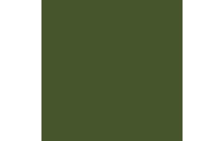 Actual product image Amsterdam Standard Series Acrylic Paint (Olive green dark, 120 ml)