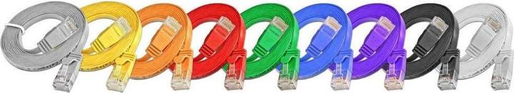 Actual product image Wirewin Network cable (UTP, CAT6, 2 m)