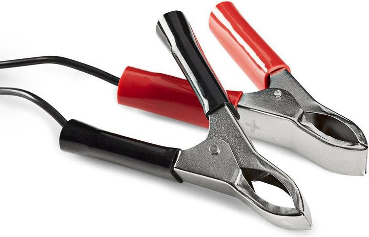 Produktbild Nedis Bleiakkuladegerät - 2/6/12 V - Vollautomatisches Ladegerät - Spannungswahlschalter - Verpolu (1 Stk., Ladegerät ohne Akku)