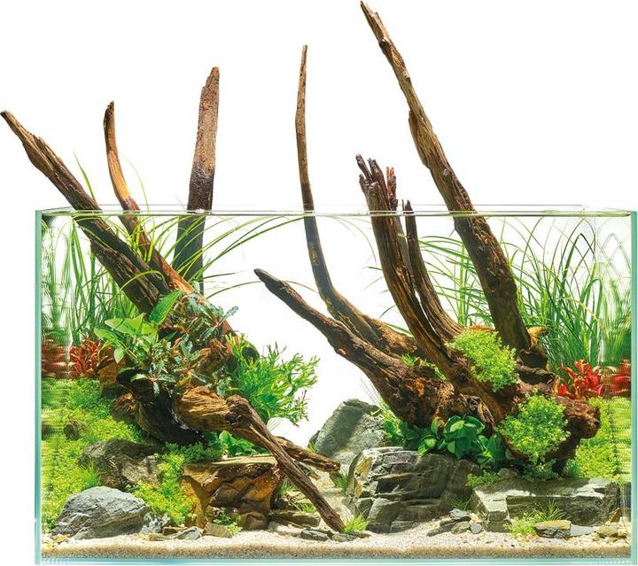 Immagine prodotto Oase Acquario ScaperLine 100, 250 l (250 l)