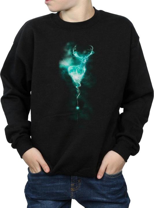 Image du produit Patronus Mist Sweatshirt garçon (128)