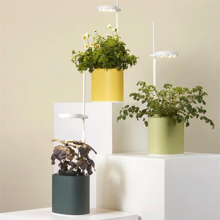 Actual product image Prêt à Pousser Herb Pot Nano, Forest Green (13.50 cm)