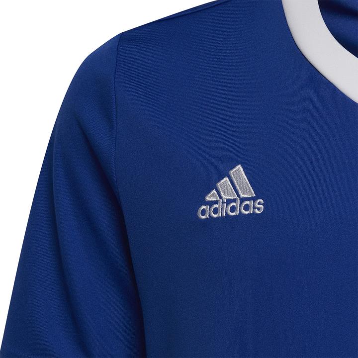 Actual product image adidas Entrada 22 Football Shirt Kids (116)