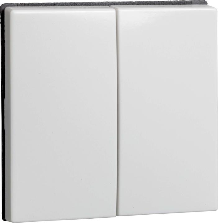 Actual product image ELSO Joy rocker series 273504 double push-button pure white