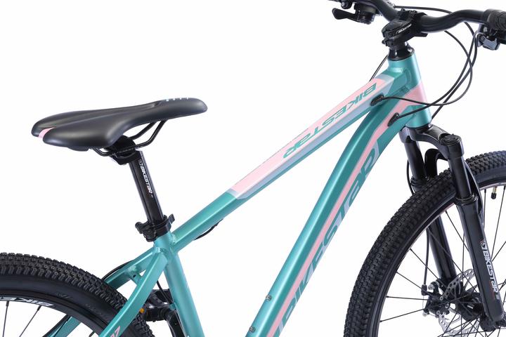 Actual product image Bikestar Hardtail mountain bike (41 cm)
