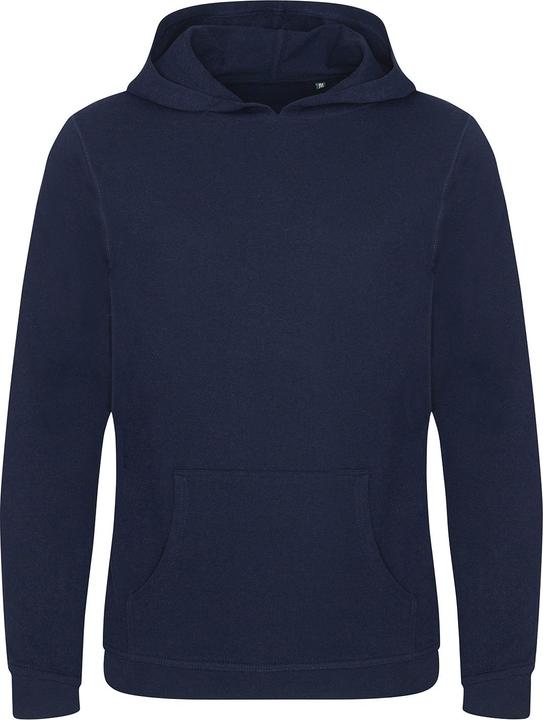 Actual product image Awdis Mens Lusaka Regen Ecologie Hoodie (S)
