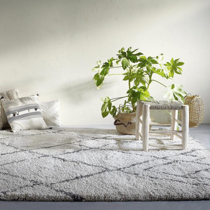 Image du produit La Redoute Interieurs Rabisco (200 x 290 cm)