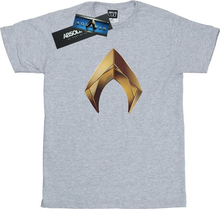 Image du produit Mens Aquaman Emblem T-Shirt (L)
