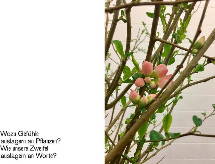 Produktbild Blumen sind geil (Deutsch, Tine Melzer, Markus Kummer, 2020)