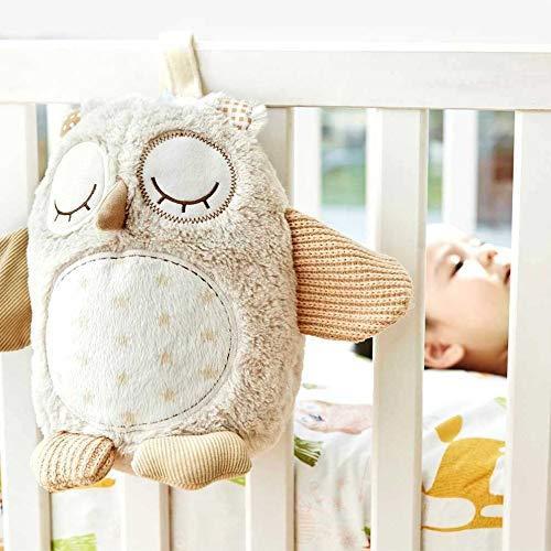 Actual product image Cloud B Owl with motion sensor (CB0027)