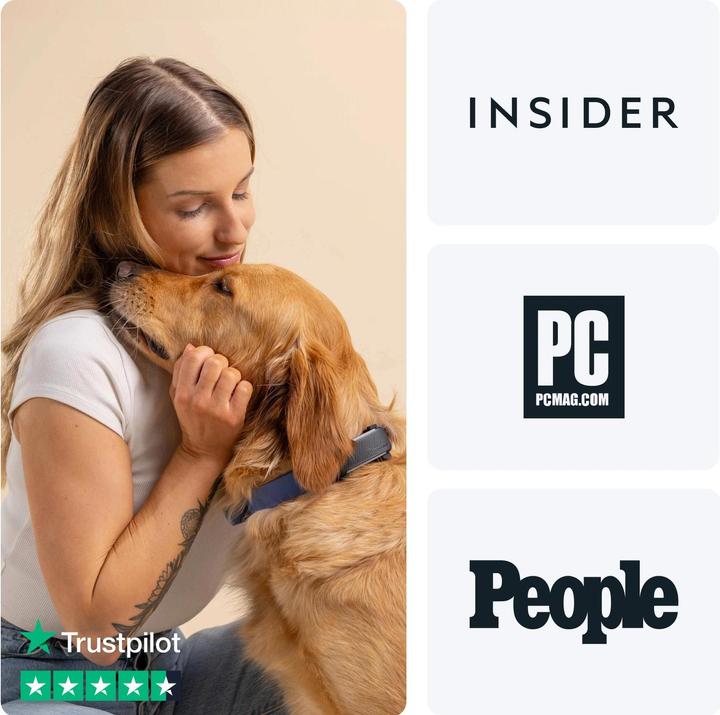 Actual product image Tractive GPS Tracker Dog 6 (Dog, Walks)