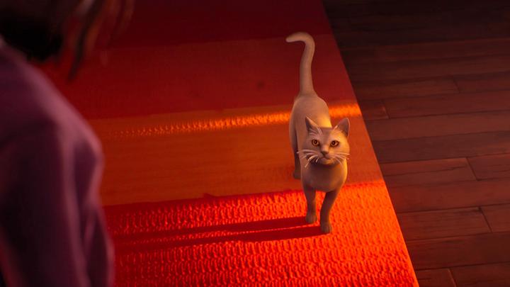 Actual product image Square Enix Life is Strange: Double Exposure (PS5, IT)