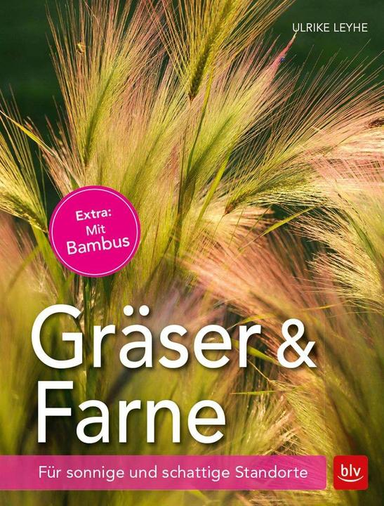 Produktbild Gräser und Farne (Deutsch, Ulrike Leyhe, 2017)