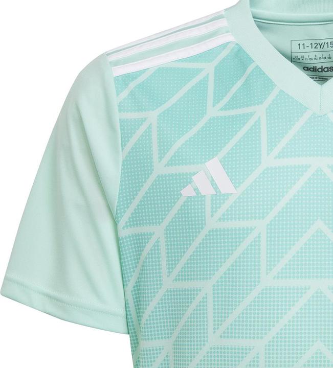 Actual product image adidas Team Icon 23 Jersey (128)
