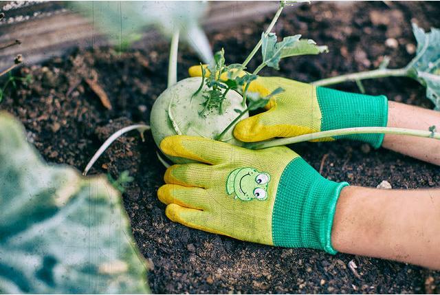 Produktbild Siena Garden Gartenhandschuhe (XXS)