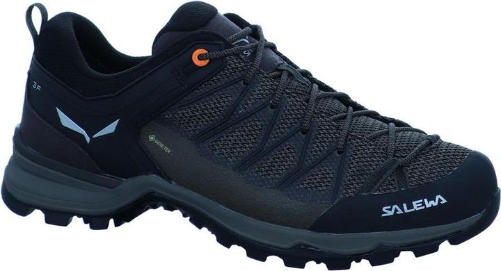 Produktbild Salewa Mountain Trainer Lite GORE-TEX (41)