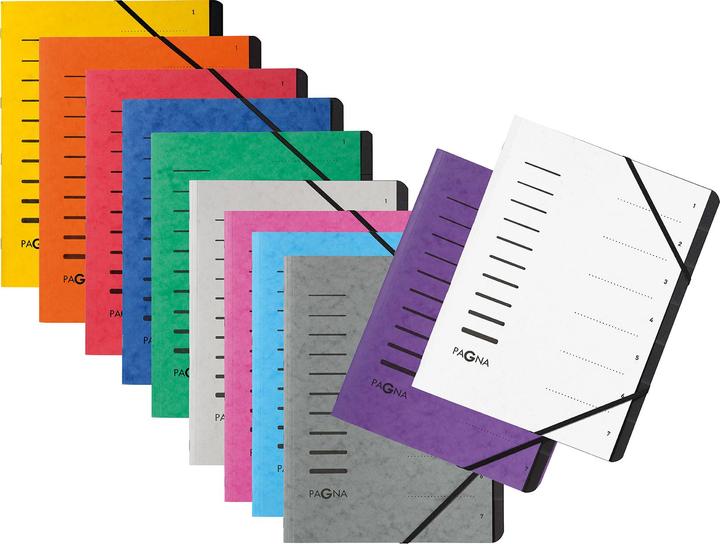 Actual product image Pagna 40058-10 Tab Register Aubergine (A4, 1 x)