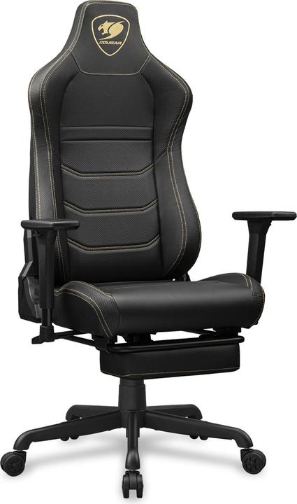 Actual product image Cougar Armor Evo S