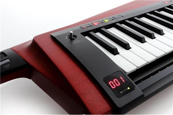 Image du produit Korg RK-100S 2 RED