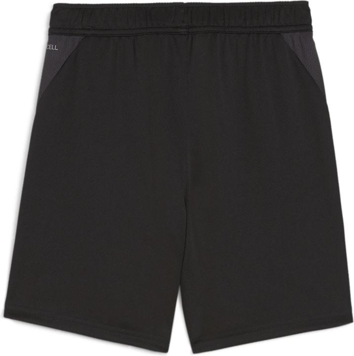 Actual product image Puma teamGOAL Training Short Jr (116)