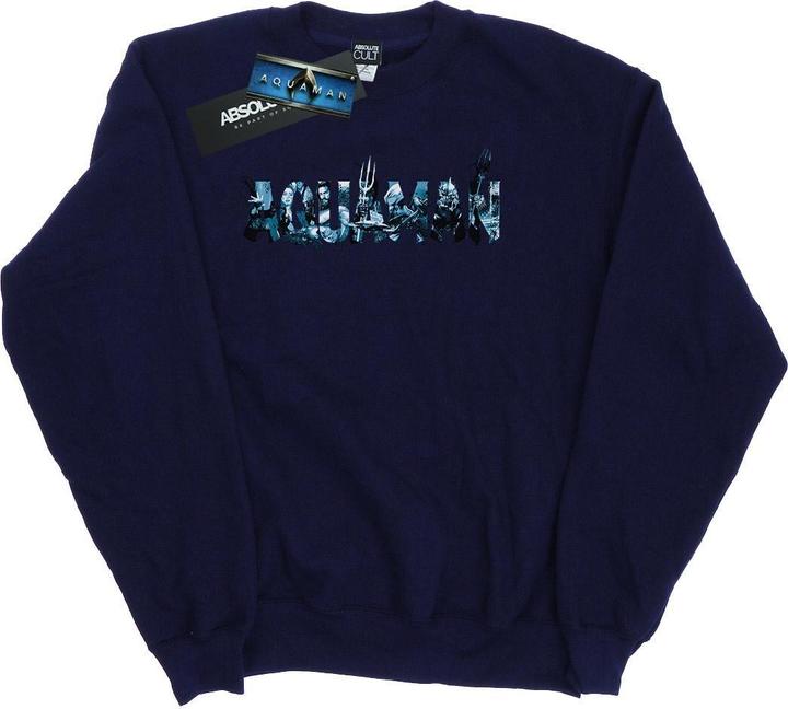 Produktbild Aquaman Text Logo Sweatshirt (XXL)