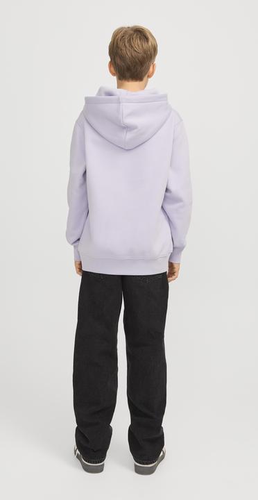 Immagine prodotto Jack & Jones Jorvesterbro Sweat Hood Noos Jnr (176)