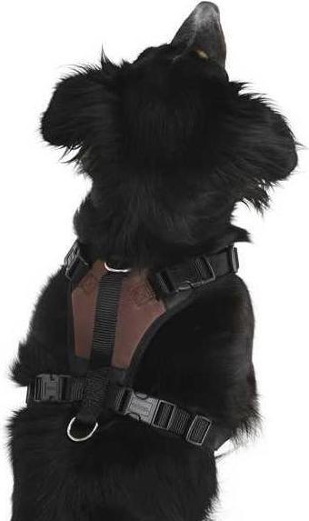 Immagine prodotto Kerbl Pulsivo (Cane, Sport cane)