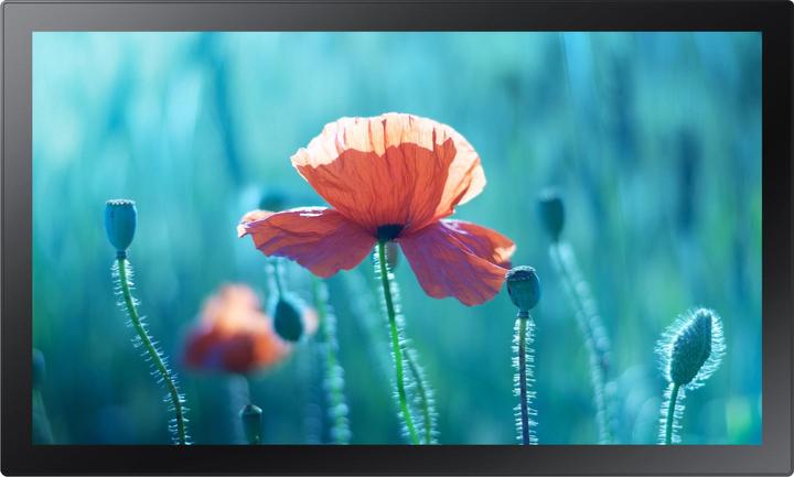 Produktbild Samsung QB13R-TM (1920 x 1080 Pixel, 13")
