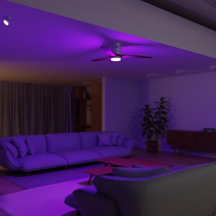 Immagine prodotto Hombli Deckenventilator mit Licht (43 dB)