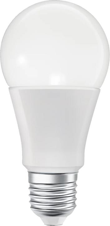 Image du produit Ledvance SMART+ MATTER CLASSIC A MULTICOLOR 9.5W 827...865 Multicolore E27 (E27, 9.50 W, 1055 lm, 1 x, F)