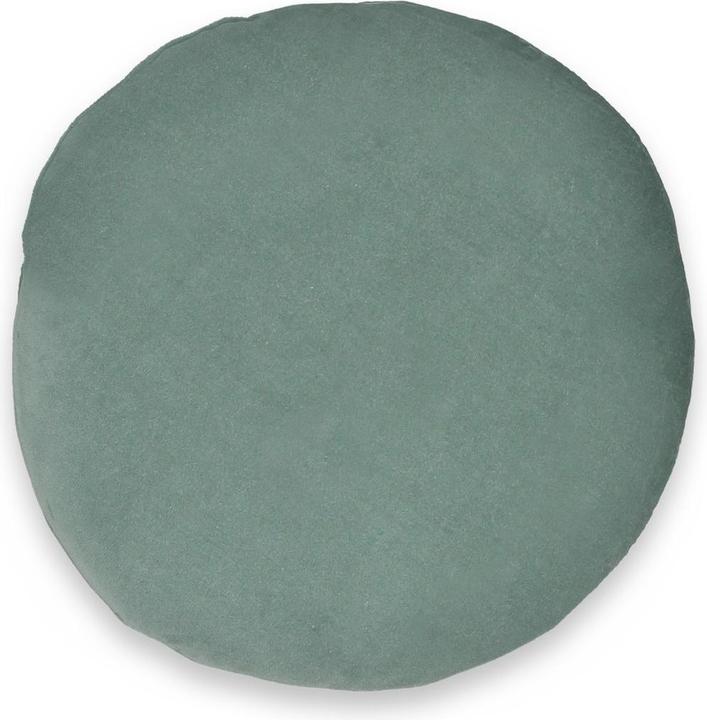 La Redoute Interieurs Velvet (38 x 38 cm)