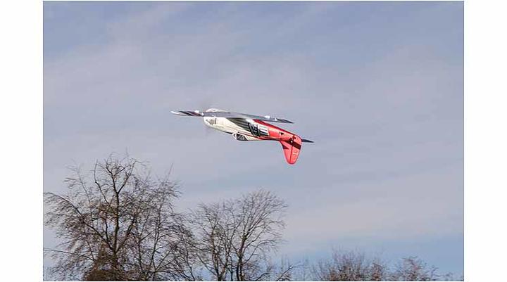 Actual product image Multiplex Race Wulf (Warbird)