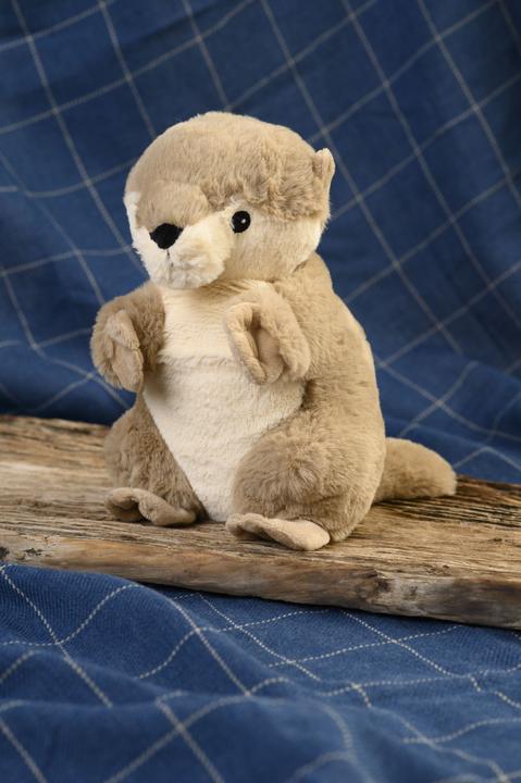 Actual product image Warmies Otters (35 cm)