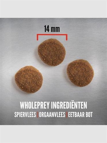 Produktbild Orijen Senior Dog (Adult, 1 Stk., 11400 g)