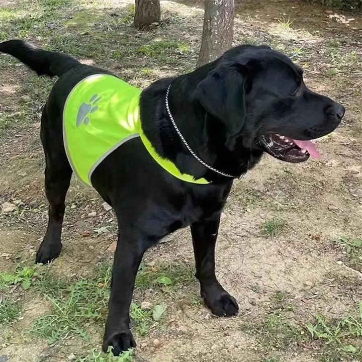 Produktbild Cbx Hochsichtbare Reflektierende Hundeweste, Sicherheitsweste für Hunde - Grösse S (S, Hundeweste)