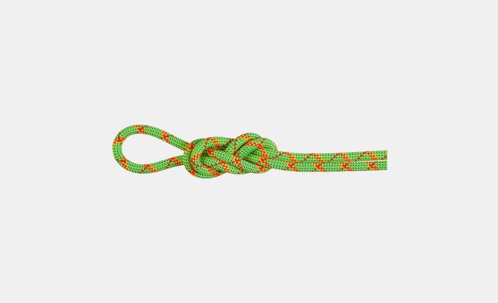 Immagine prodotto Mammut 8.0 Alpine Core Protect Corda asciutta (30 m)