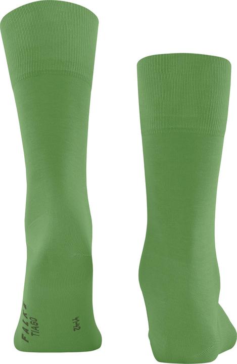 Actual product image Falke Tiago Men (43 - 44)