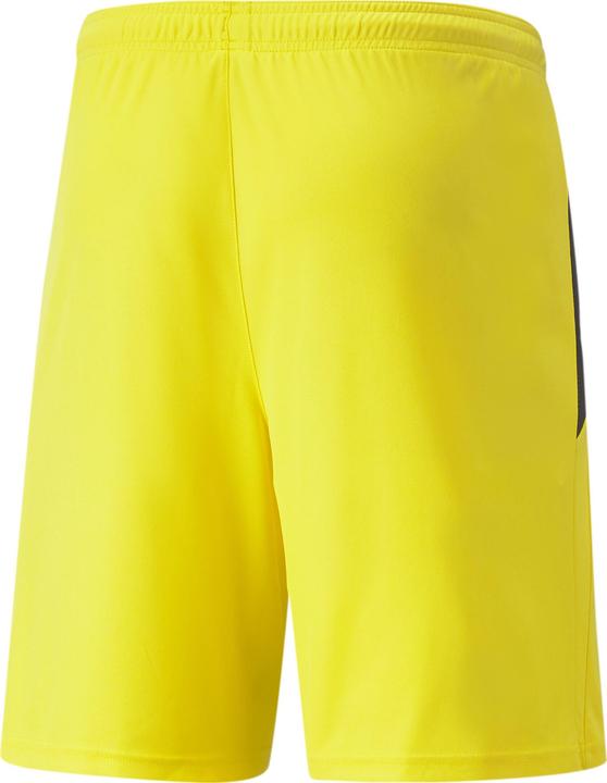 Actual product image Puma teamLIGA Shorts-704924 (60)