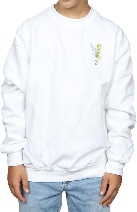 Image du produit Disney - Sweat TINKERBELL CHEST - Garçon (152, 158)