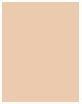 Produktbild Bourjois Bj Polvo Compacto Always Fabulous (210 Vanilla)