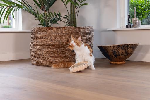 Actual product image Designed by Lotte Winni (Catmint toy)