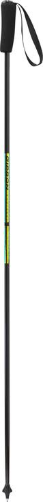 Actual product image Gipron 309 Carbon fix V-Race radiance (115 cm)