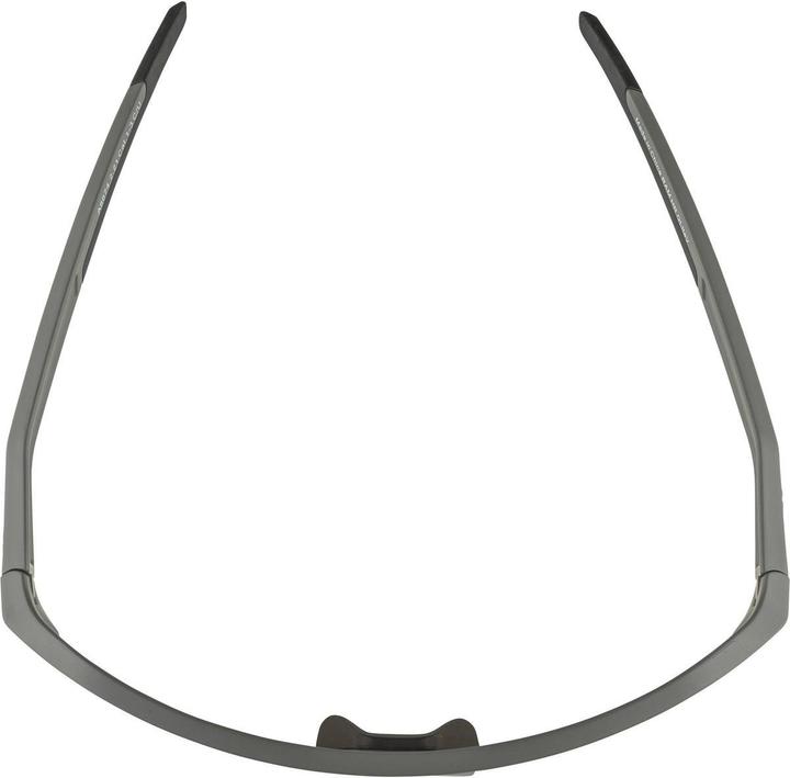 Immagine prodotto ALPINA SPORTS Ram HR Q-Lite V (Grigio luna opaco, Blu Specchio)