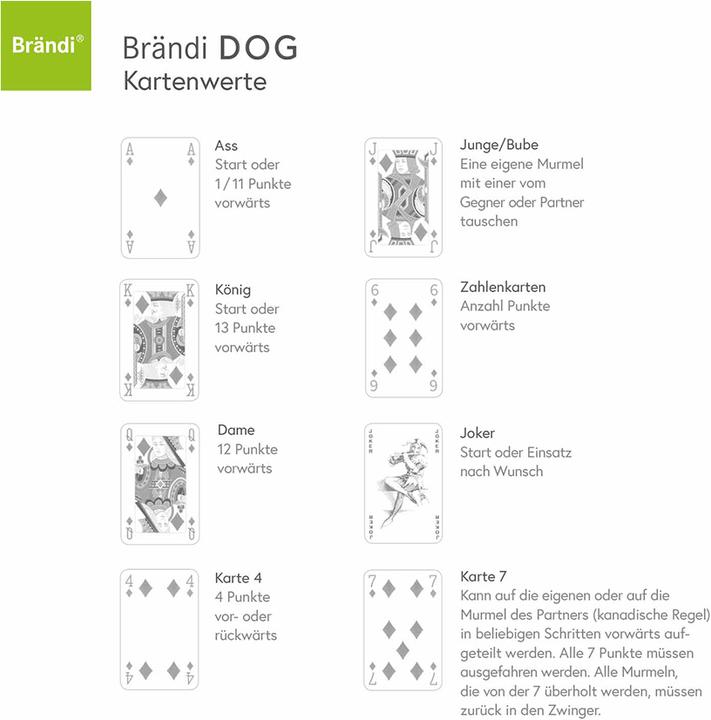 Produktbild Brändi Dog Kurzanleitung